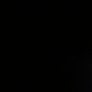 Meet your Posher, Rosemary